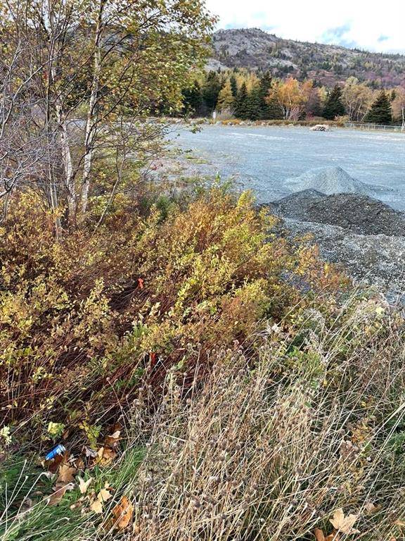 Brigus, NL A0A 1K0,27-37 Station Road