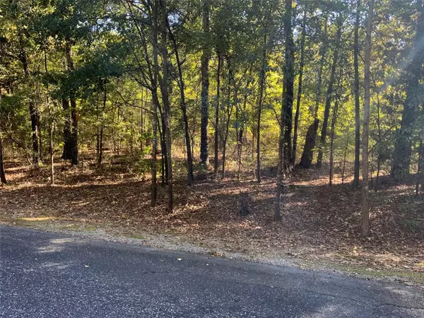 Scroggins, TX 75480,130 & 131 Canadian Drive