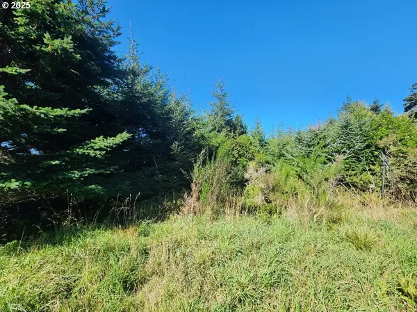 13th ST #Lot 2&5, Port Orford, OR 97465