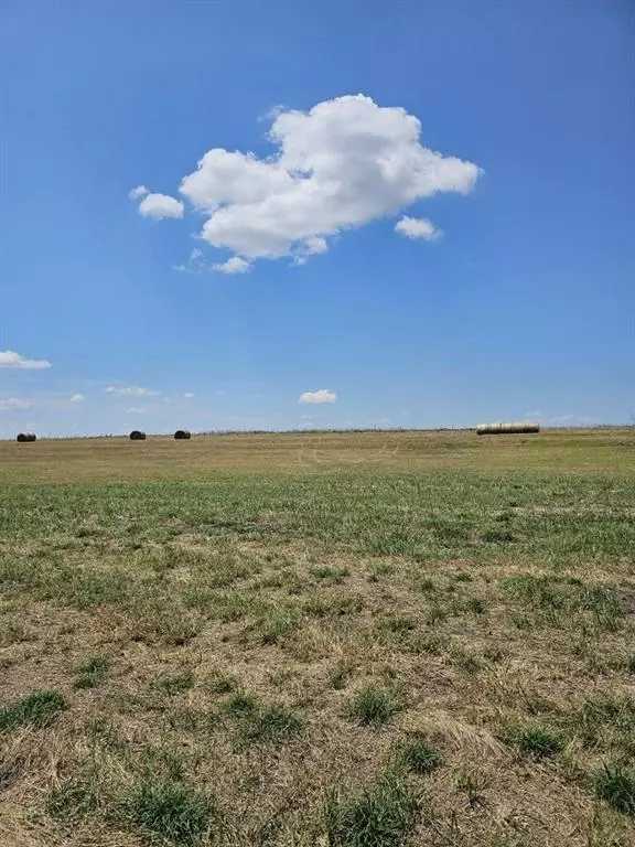 Mount Calm, TX 76673,TBD County Road 3242