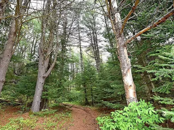 Kawartha Lakes, ON K0M 1C0,LOT#3 BURKE RD