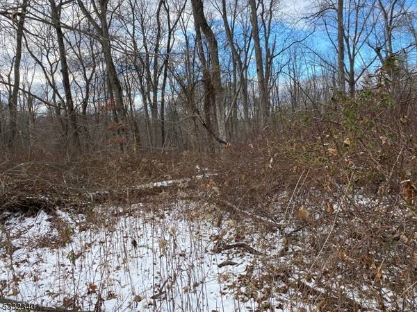 11 Hilltop Rd,  West Amwell Twp.,  NJ 08551