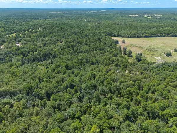 Winnsboro, TX 75494,TBD Private Road 8556