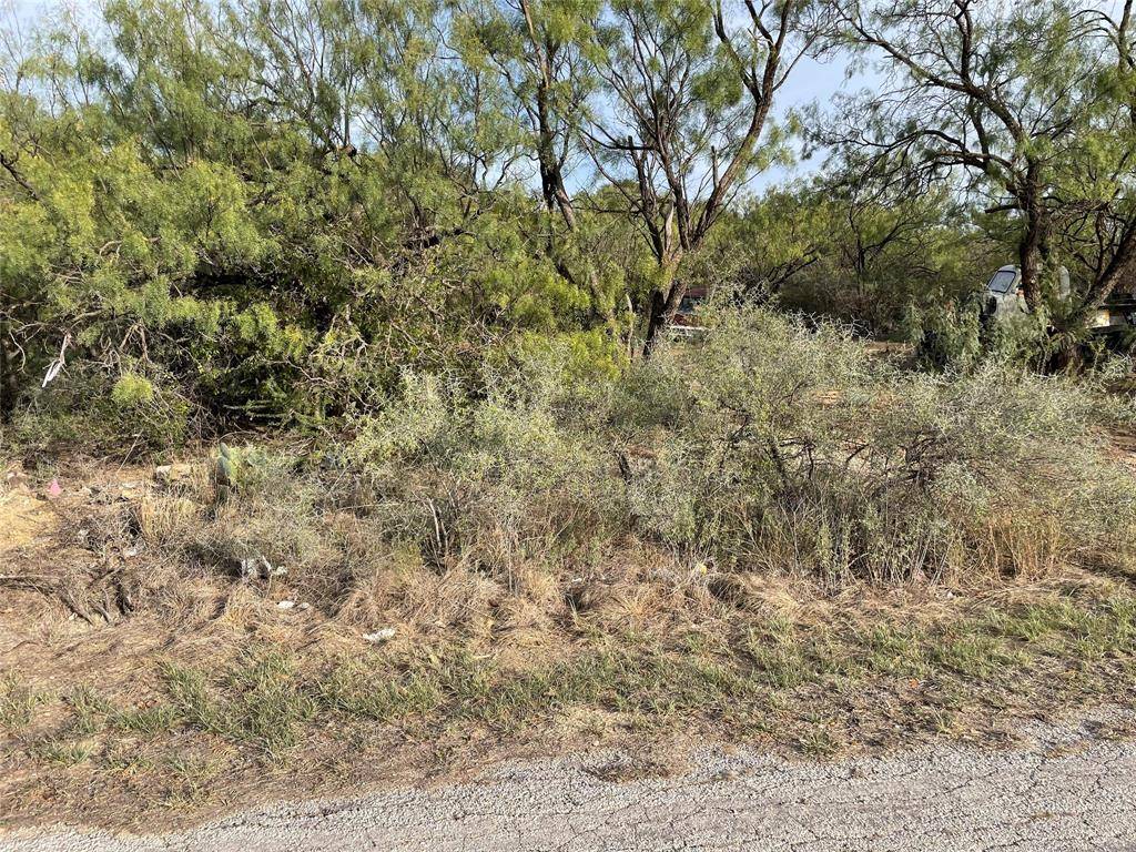 Breckenridge, TX 76424,TBD County Road 311