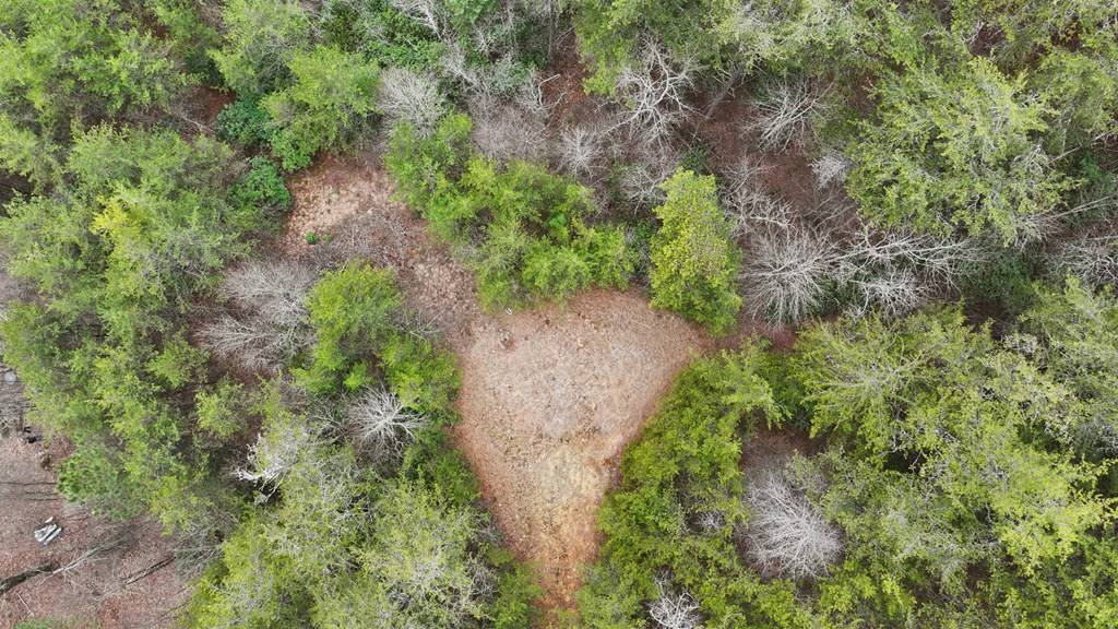 Turtletown, TN 37391,7.18 Ac McJunkin Road