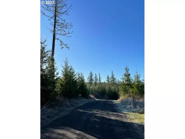 00 Buck Hollow (18) RD, Sheridan, OR 97378
