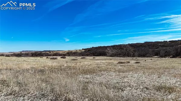 Colorado City, CO 81019,Virginia ST