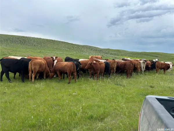 Rural Address, Caron Rm No. 162, SK S6H 7W6