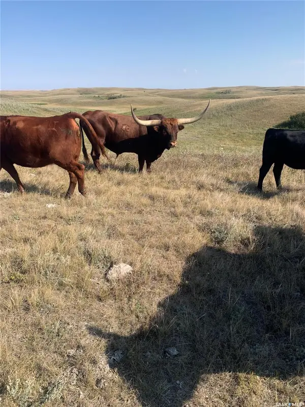 Rural Address, Caron Rm No. 162, SK S6H 7W6