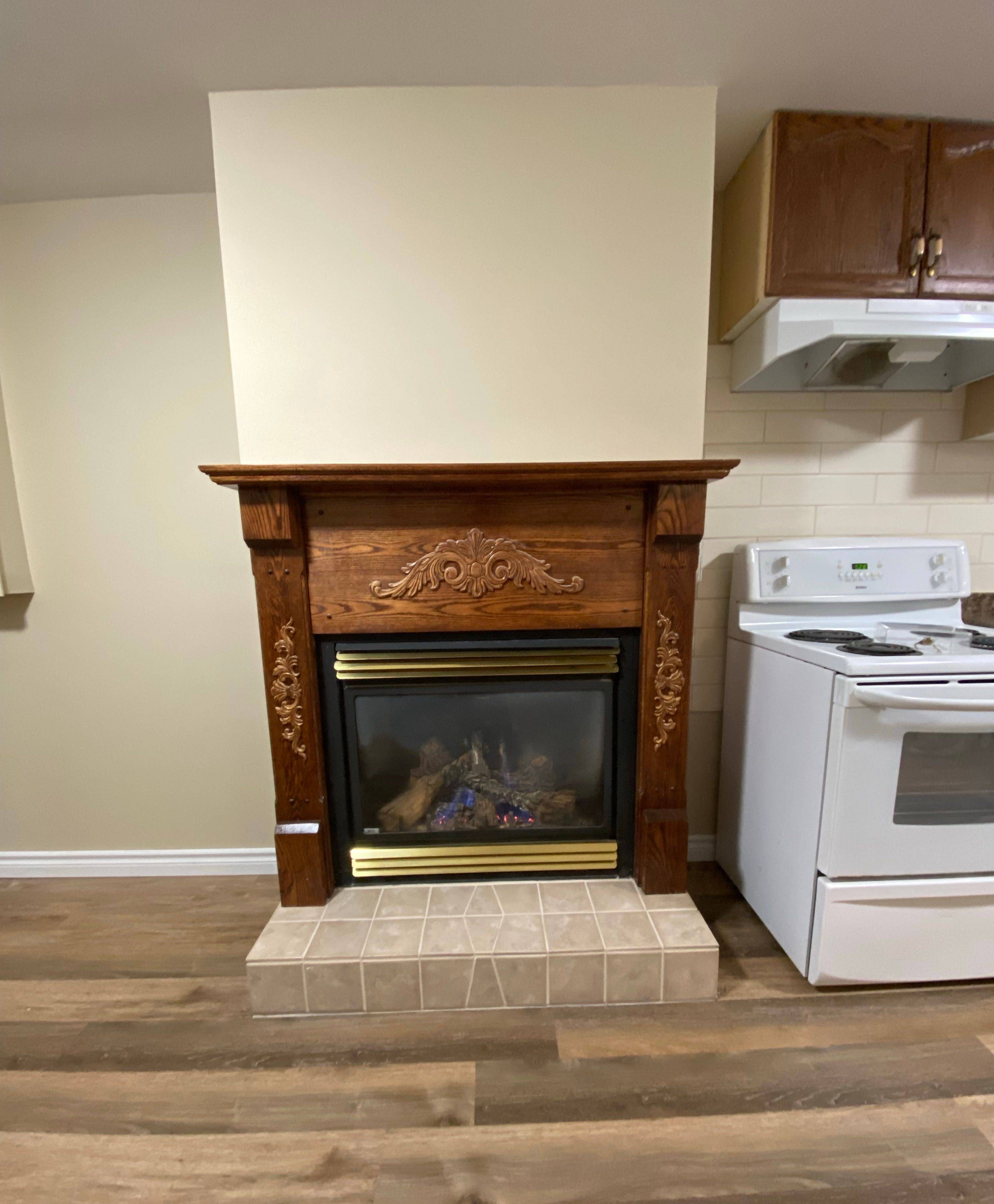 Kawartha Lakes, ON K9V 6G3,14 Mcgibbon BLVD #BSMT