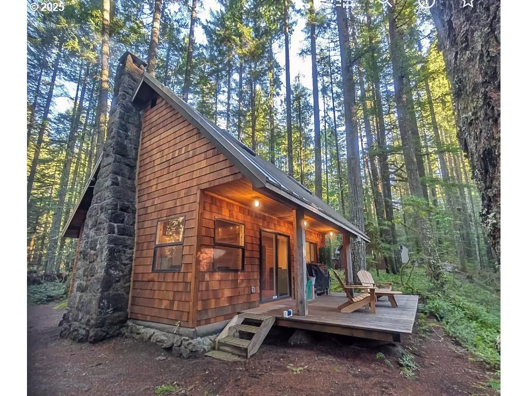 Government Camp, OR 97028,78596 E ROAD 32 Lot 28