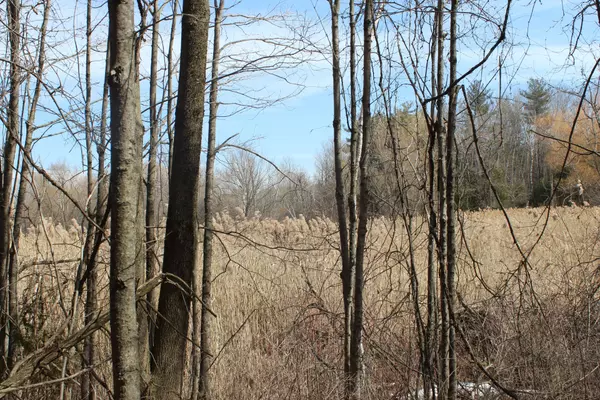 Uxbridge, ON L9P 0H2,TBA Concession Rd 2 N/A