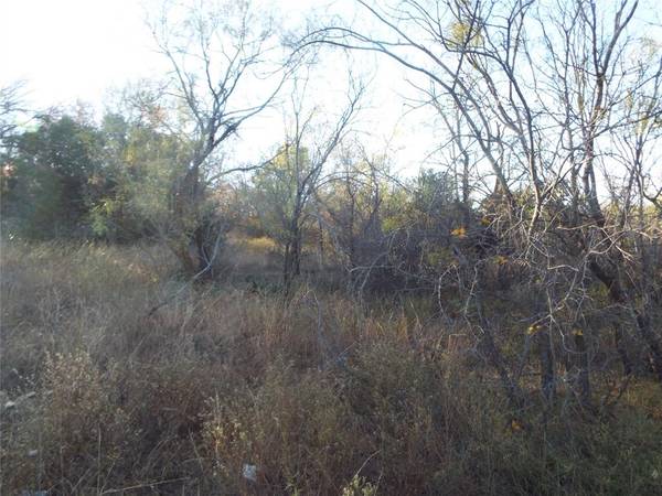 TBD Clifden Drive, Brownwood, TX 76801