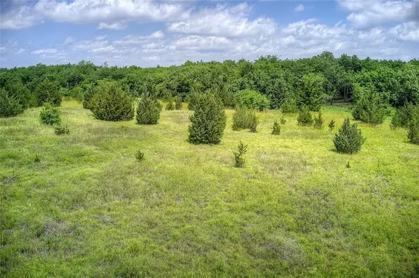 Commerce, TX 75428,Tract 20 CR 4813