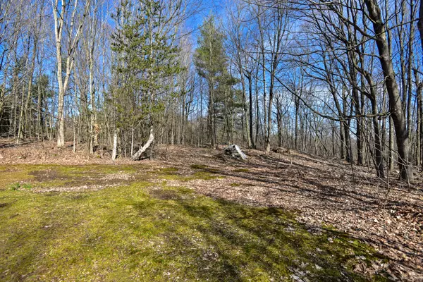 Front Of Yonge, ON K0E 1R0,353 County Road 5 RD