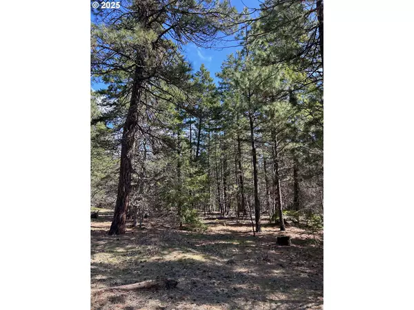 Lot 3 Thompson TR, Goldendale, WA 98620