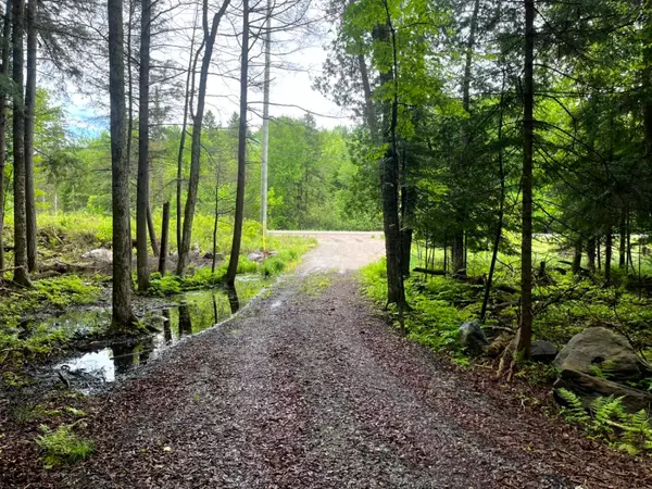 Minden Hills, ON K0M 2K0,TBD County 21 RD