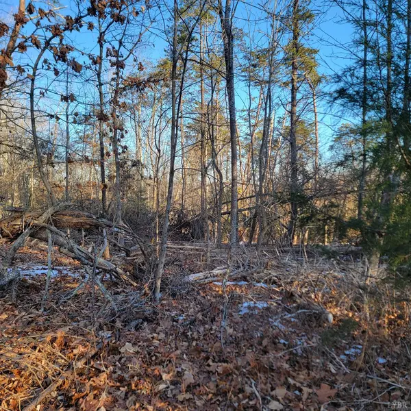 1147 Red Horse DR, Goodview, VA 24095