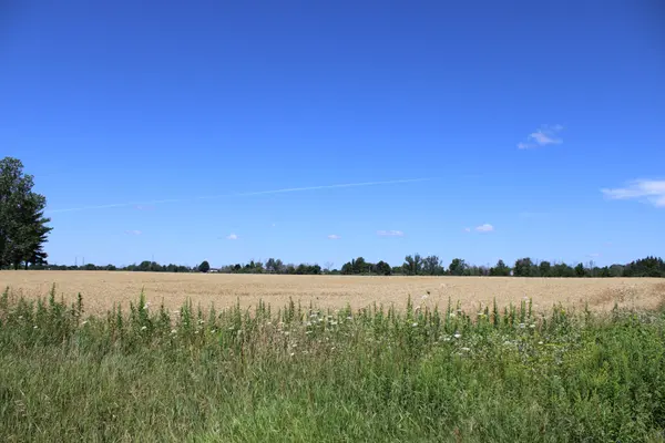 Greater Napanee, ON K7R 3L1,PT LT16 JIM KIMMETT BLVD