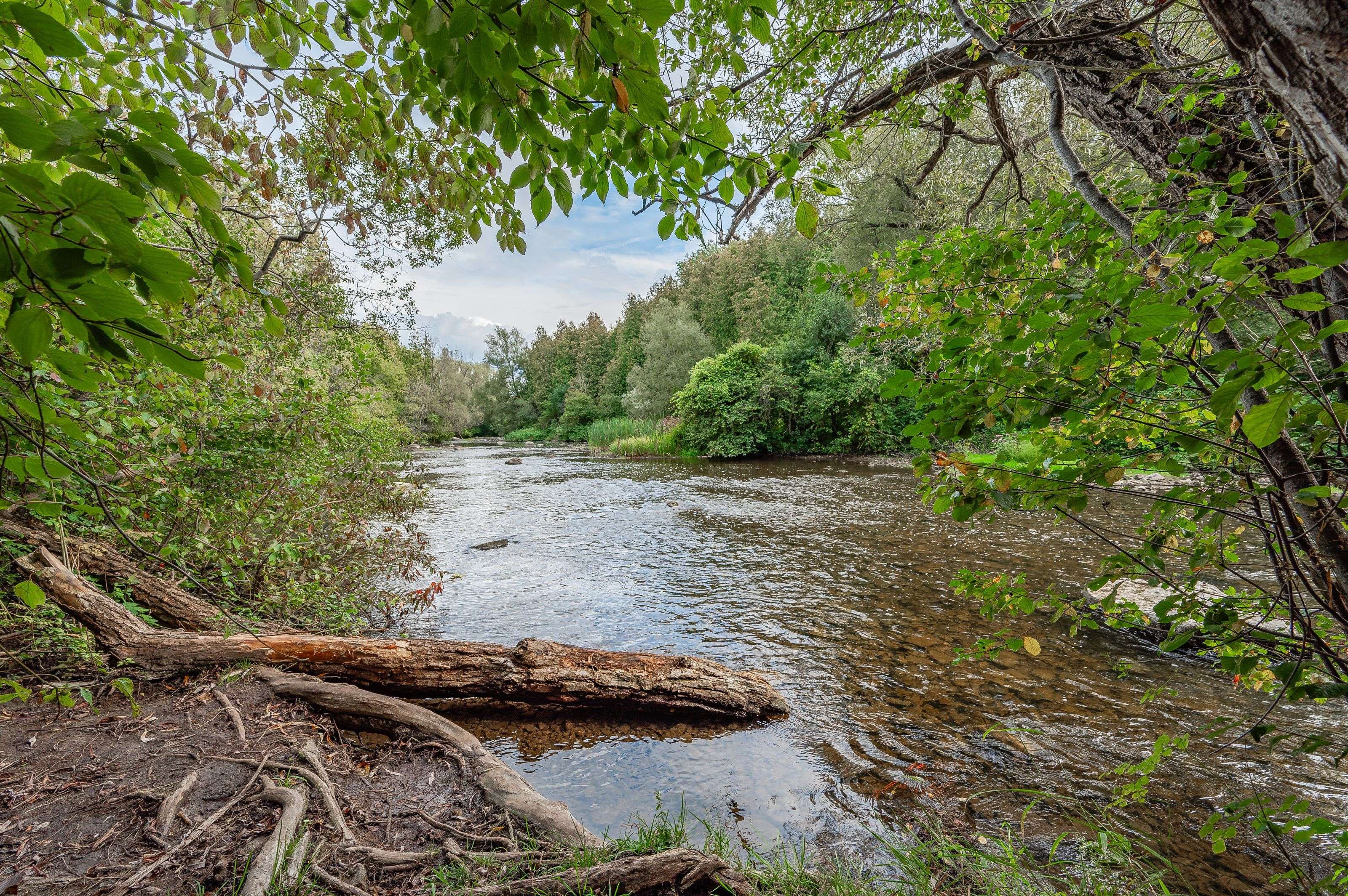 Guelph, ON N1L 1B8,739 Stone RD E