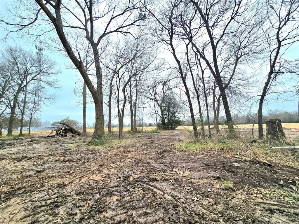 Emory, TX 75440,TBD Lot 4 CR 2245