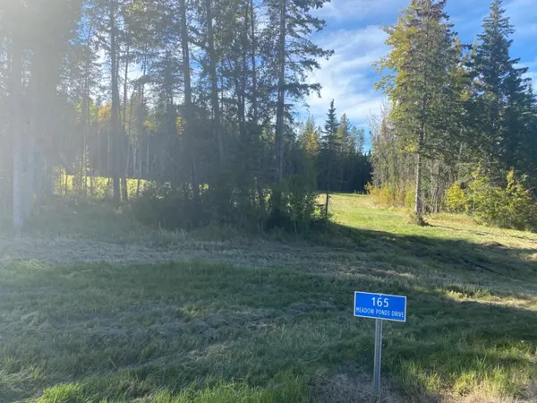 Rural Clearwater County, AB T4T 1A7,165 Meadow Ponds DR