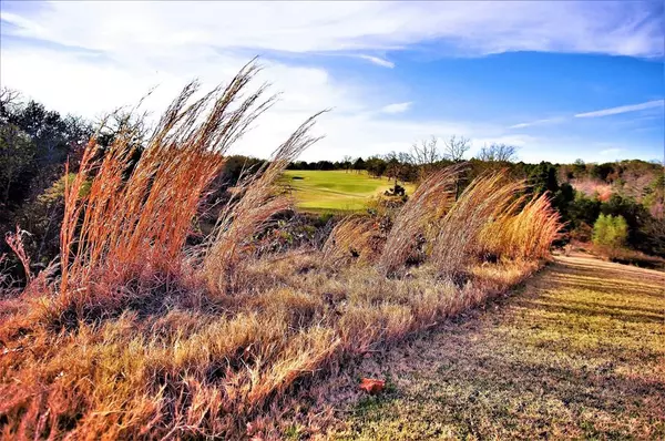 Gordonville, TX 76245,Lot 10D St Andrews Court