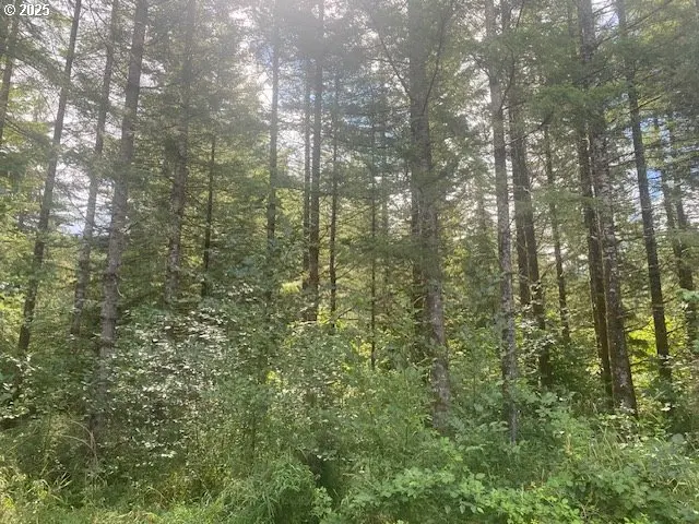 Yacolt, WA 98675,0 Rotschy Mill RD