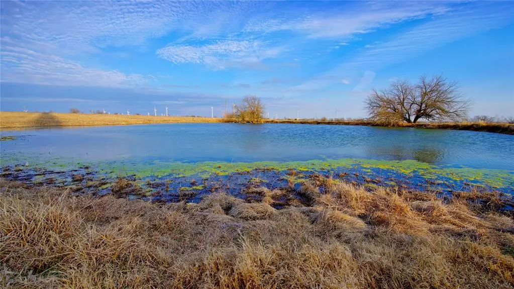 Muenster, TX 76252,TBD CR 431 Road