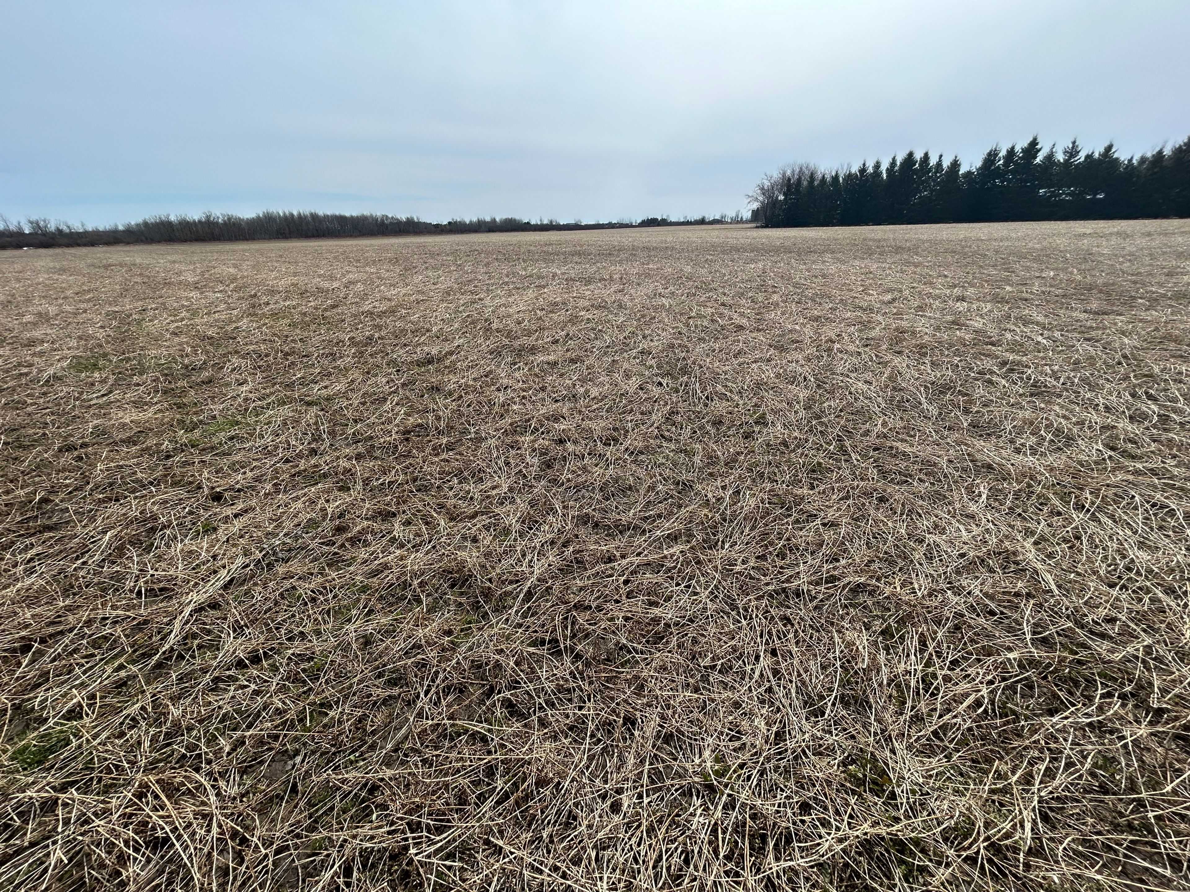 Wellington North, ON N0G 1A0,8567 Wellington Road 109 RD