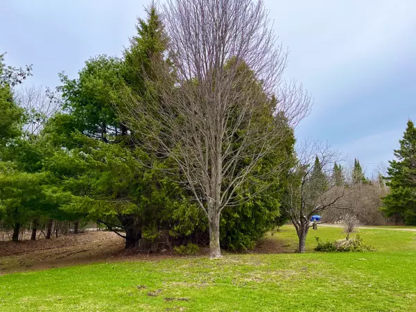 Hastings Highlands, ON K0L 1C0,1073 Airport RD