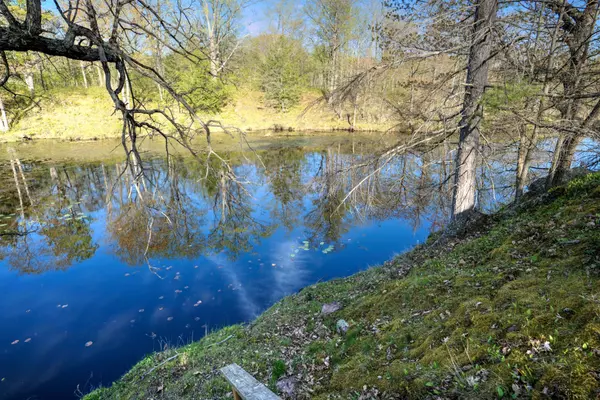 Rideau Lakes, ON K0G 1X0,PT LT 2 Creek Crossing LN