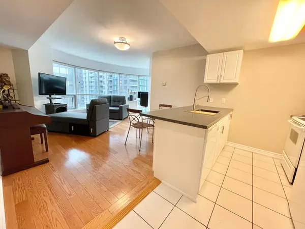 Lower Town - Sandy Hill, ON K1N 0A9,234 Rideau ST #1004