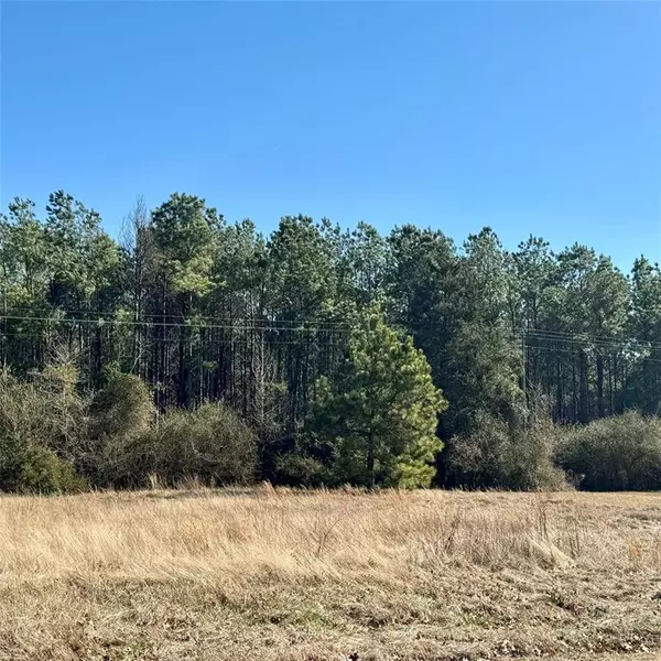 Omaha, TX 75571,Lot 29 Twin Springs Trail