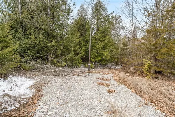 Centre Hastings, ON K0K 3E0,817 Carson RD