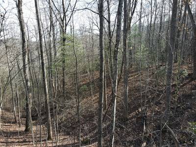 Blairsville, GA 30512,Lot 20 Settlers Cove