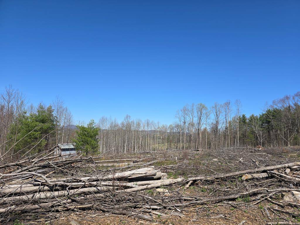 Laurel Fork, VA 24352,TBD Red Roof Lane