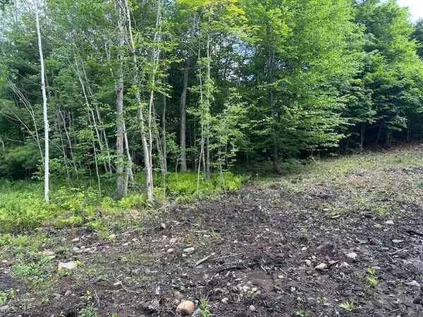 Seguin, ON P2A 0B2,4 MCNAUGHTS RD