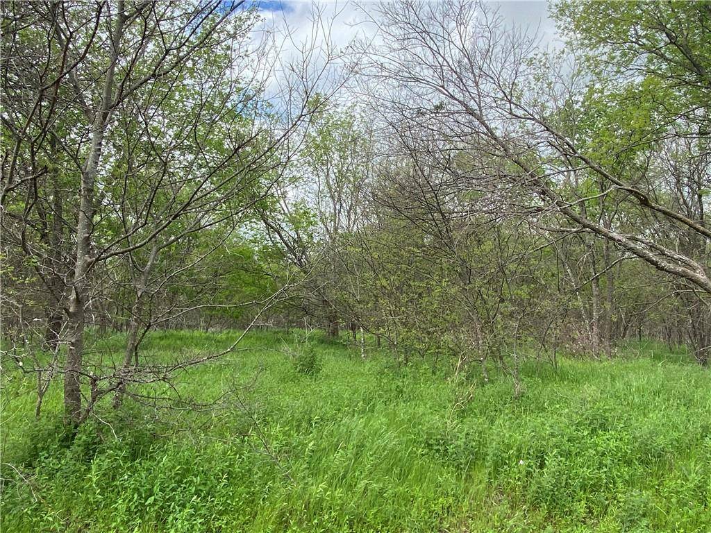 818 College Avenue, Mexia, TX 76667