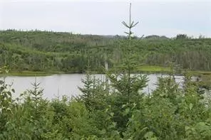 Brigus Junction, NL A0B1G0,Lot 129 Country Lane