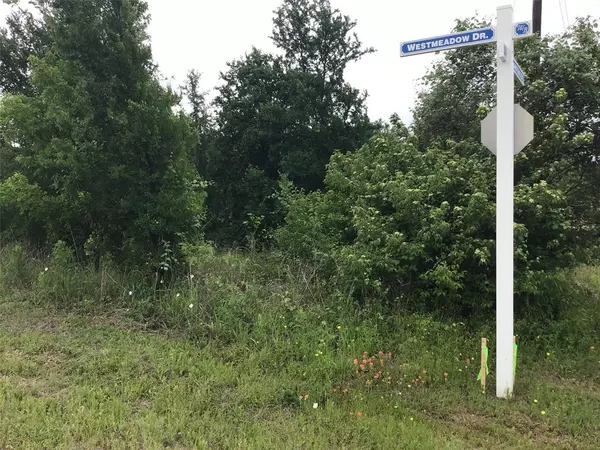 Whitney, TX 76692,12169 Westmeadow Dr & Rolling Oaks Drive