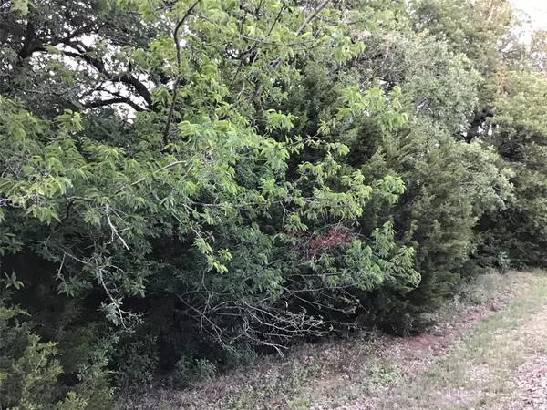 Whitney, TX 76692,44021 Fringewood Drive