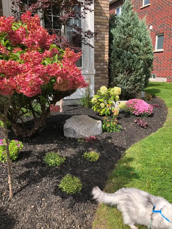 Woolwich, ON N0B 1M0,134 Dolman ST