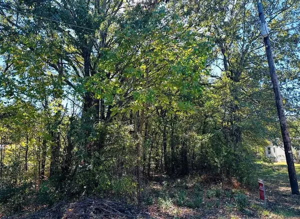 Gun Barrel City, TX 75156,N/a Acres Loop