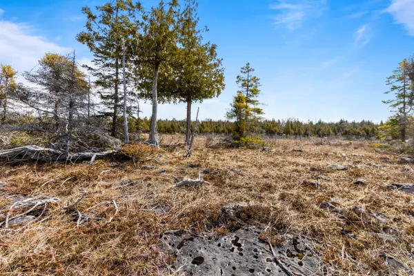 Northern Bruce Peninsula, ON N0H 2R0,Lot 242 Pedwell DR