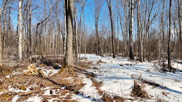 Callander, ON P0H 1H0,PART 3 LOT 26 TILLICUM BAY RD