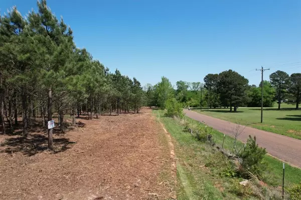 Gladewater, TX 75647,TBD-I Lincoln Springs Rd