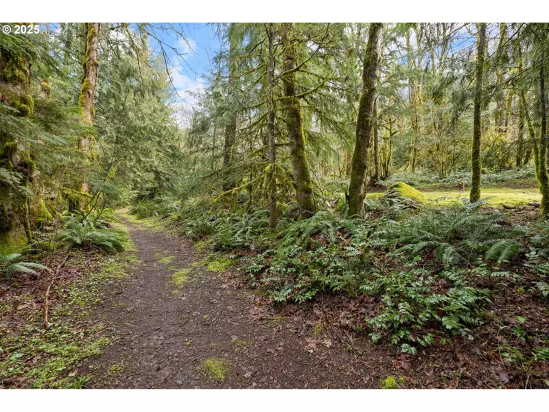 27355 E Salmon River RD, Welches, OR 97067