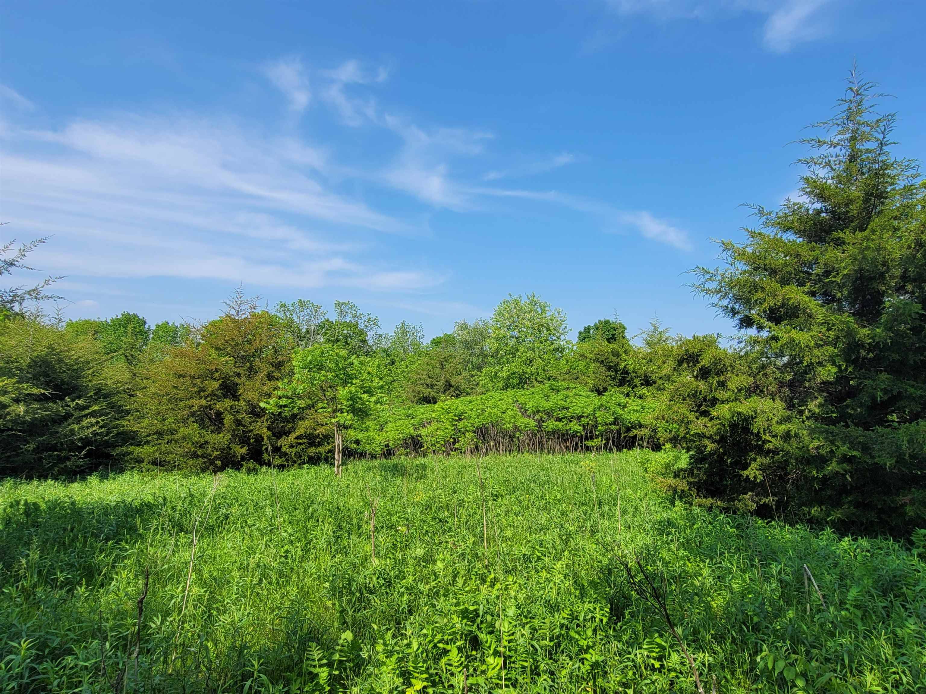 Galena, IL 61036,1 Bluffwood Trail