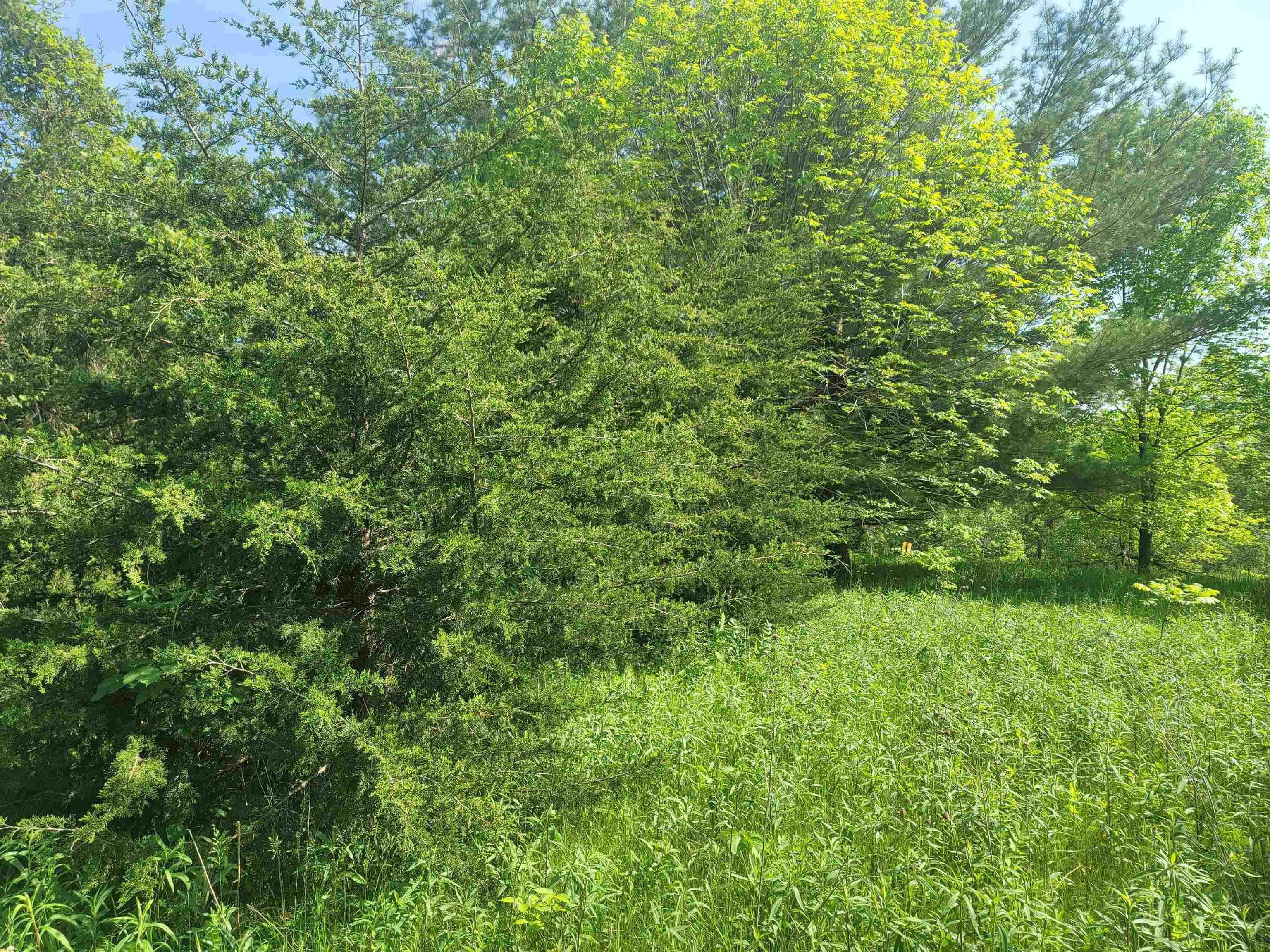 Galena, IL 61036,1 Bluffwood Trail